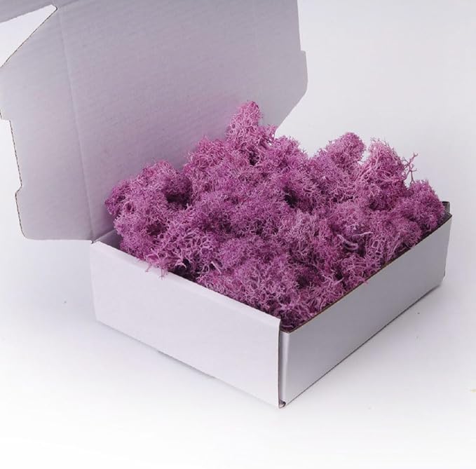 Preserved Moss-3.5 OZ Moss for Crafts Faux Moss Decor Natural Green Moss for Art Wall Florist Decor, Fairy Gardens, Wedding, Floral Project(Purple 3.5 OZ)