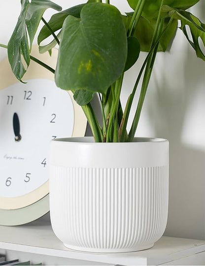 Ceramic 5.2+6.5 inch Planters, Modern Home and Office Flowerpot, Indoor and Outdoor Flowerpot with Drainage Hole (White)