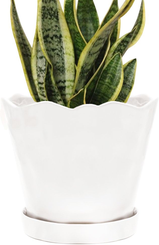 CHIVE ‘Tika’ Ceramic Planter Pot — Large 8" Succulent Pots for Indoor & Outdoor House Plants — Cute, Beautiful Modern Farmhouse Kitchen Decor — White