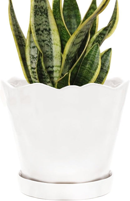 CHIVE ‘Tika’ Ceramic Planter Pot — Large 8" Succulent Pots for Indoor & Outdoor House Plants — Cute, Beautiful Modern Farmhouse Kitchen Decor — White