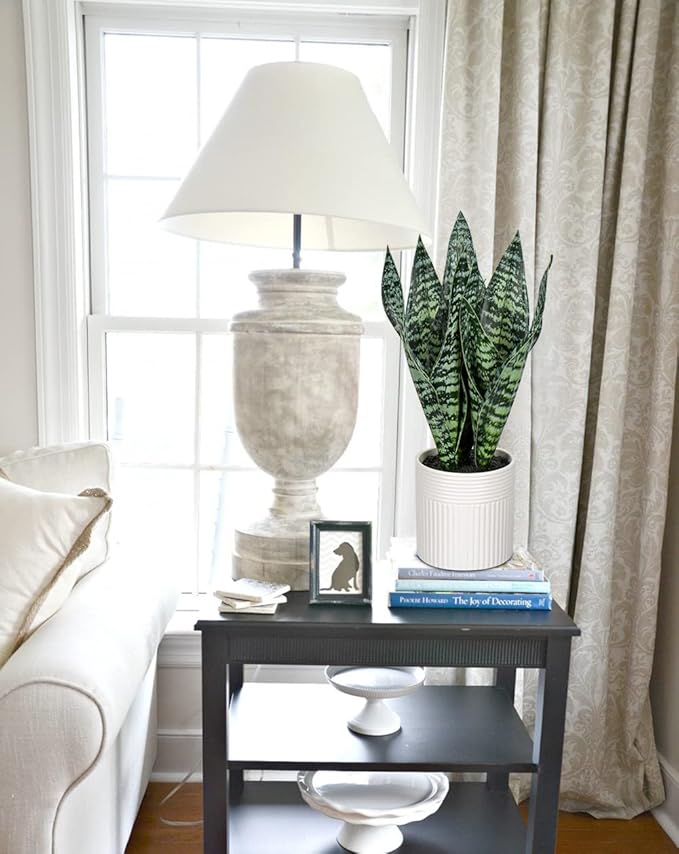 Briful 14'' Fake Snake Plant Home Decor Real Touch Faux Sansevieria Plant in White Ceramic Pot Artificial Snake Plant with Wide Leaves for Home Kitchen Office Living Room Bathroom Decorations