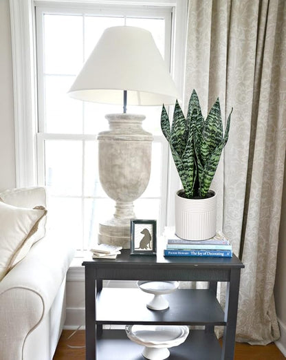 Briful 14'' Fake Snake Plant Home Decor Real Touch Faux Sansevieria Plant in White Ceramic Pot Artificial Snake Plant with Wide Leaves for Home Kitchen Office Living Room Bathroom Decorations