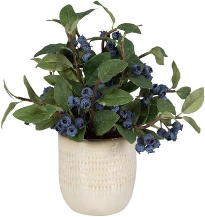 Uttermost 60215 Blueberry Fields - Planter-12 Inches Tall and 10 Inches Wide
