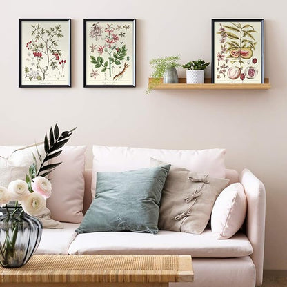 YUMKNOW Farmhouse Vintage Botanical Wall Decor - Unframed Set of 6, 8x10, Boho Cottagecore Plant Leaves Room Decor for Bathroom, Bedroom Art Posters Prints, Aesthetic Flower Pictures Office Kitchen