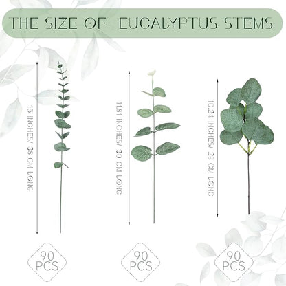 Giegxin 270 Pcs 3 Kinds Mixed Eucalyptus Leaves Stems Bulk Artificial Silver Dollar Leaves Picks Dried Eucalyptus Bundle Faux Spray for Wedding Vase Bouquet Floral Arrangement (Green)