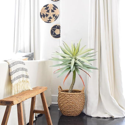 Briful Large Fake Agave Plants 3ft/35inch Tall Artificial Yucca Plants in Black Pot Outdoor Faux Agave Plant for Home Decor Office Fornt Porch Balcony Living Room Decor