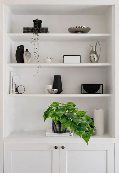 Hollyone Artificial Plants Potted Fake Plants in Black Ceramic Pot Faux Pothos Plants Indoor for Home Living Room Shelf Office Aesthetic Decor