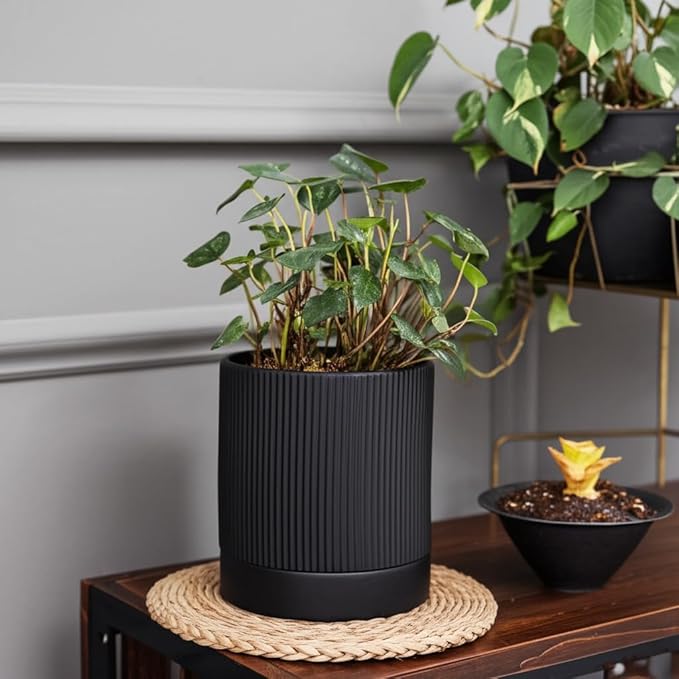 6 Inch Ceramic Plant Pot with Drainage & Saucer - Indoor Planter for Succulents, Cacti & Aloe Vera - Striped Design, High-Temp Fired Clay, Lightweight Modern Decor