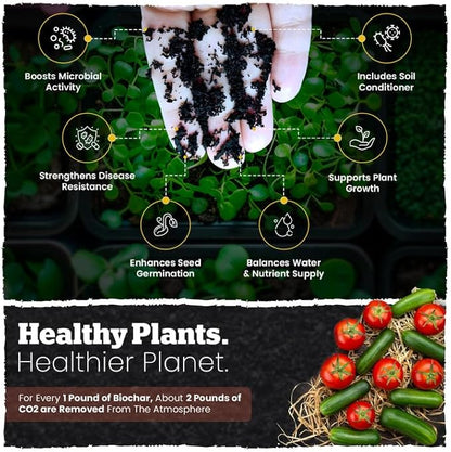 Wakefield Premium Biochar Blend – Organic Potting Soil for Vegetables, Tomatoes & Gardens – Potting Mix Enriched with Humic Acid & CarbonBoost – Versatile Top Soil for Indoor & Outdoor Plants-2quarts
