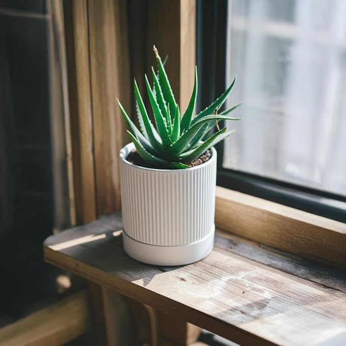 Small Plant Pots, 4 Inch Pots for Indoor Plants, Modern Minimalist Ceramic Plant Pots with Drainage Hole & Saucer, White Set of 2