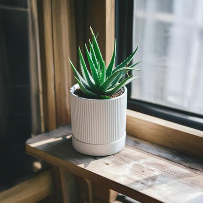 Small Plant Pots, 4 Inch Pots for Indoor Plants, Modern Minimalist Ceramic Plant Pots with Drainage Hole & Saucer, White Set of 2