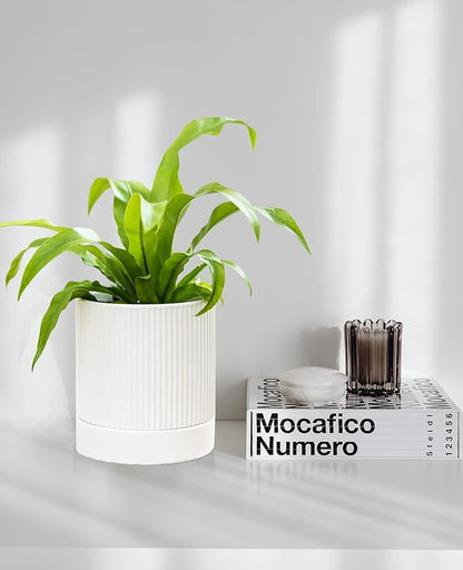 LaDoVita 3 Pack Ceramic Plant Pots 6/5/4 inch, Flowerpot for Indoor Plants with Drainage Holes and Tray, Outdoor Garden Planters, Modern Decorative for Home, White Vertical Stripes