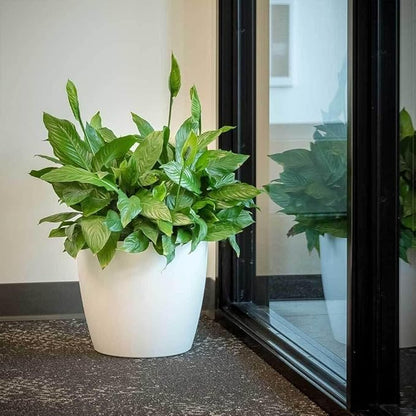 Memphis 18" Round Indoor Floor Planter Pot – Lightweight & Durable Plastic, Modern Design, Made in USA, Recyclable Large Plant Container for Home & Office Décor (Black)