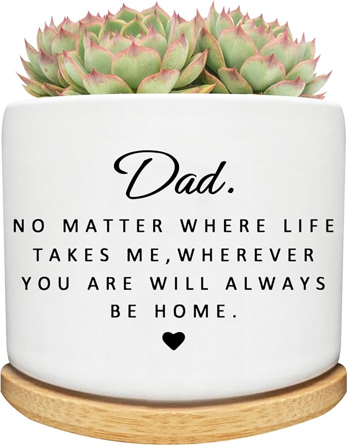 Dad Gifts from Daughter Son, Succulent Cactus Cute Planter Plant Pots Gifts for Dad, for Dad Father, Dad Birthday Gifts, Best Dad Ever Gifts, Gardening Gifts for Dad