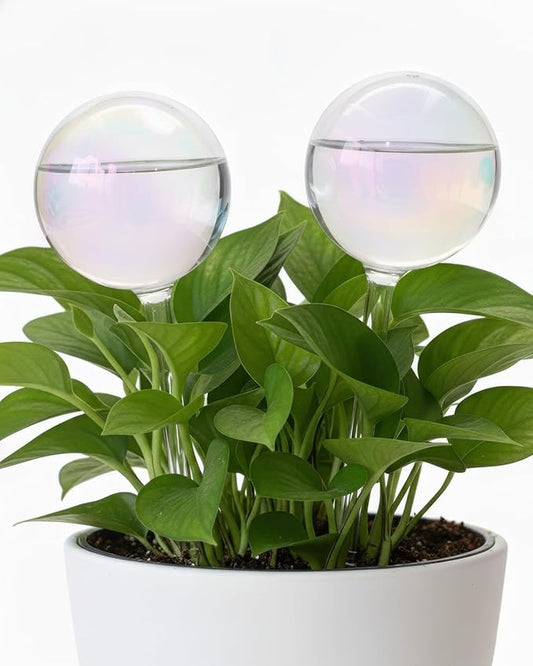 2 Pack Self Watering Globes for Plant, Iridescent Glass Rainbow Watering Bulbs, Automatic Plant Waterer for Indoor & Outdoor Potted Plants，Vacation Plant Watering Devices System，Plant Watering Devices