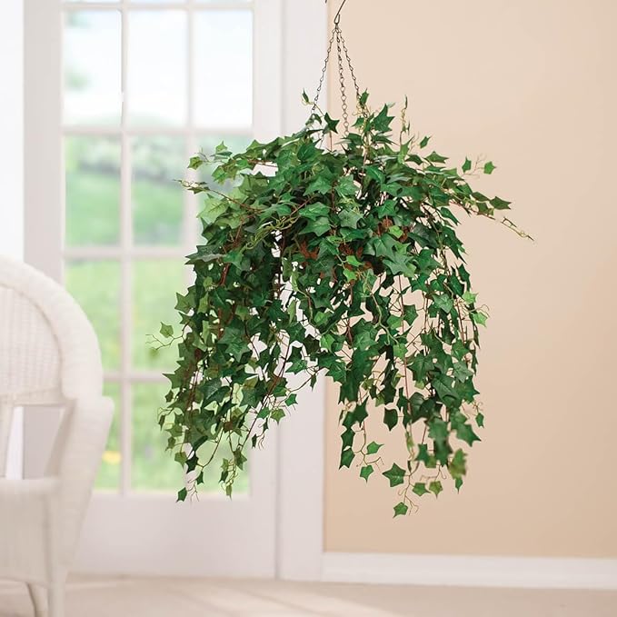 OakRidge Fully Assembled Ivy Hanging Basket, English Green
