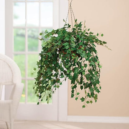 OakRidge Fully Assembled Ivy Hanging Basket, English Green