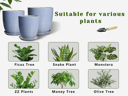 EEPFamily 8 Inch Plant Pot- Ceramic Planter for Indoor Outdoor with Drainage Hole and Plant Tray, Modern Round Porch Home Office Garden Living Room Decor, House Warming Gifts, Blue-Purple