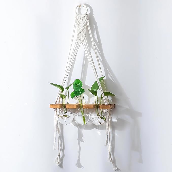 Glasseam Hanging Macrame Propagation Stations: Wall Window Glass Propagation Vases for Hydroponics Plants - Boho Decor Small Plant Terrarium Jars - Gifts for Women Mom Plants Lovers
