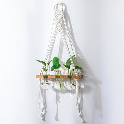 Glasseam Hanging Macrame Propagation Stations: Wall Window Glass Propagation Vases for Hydroponics Plants - Boho Decor Small Plant Terrarium Jars - Gifts for Women Mom Plants Lovers