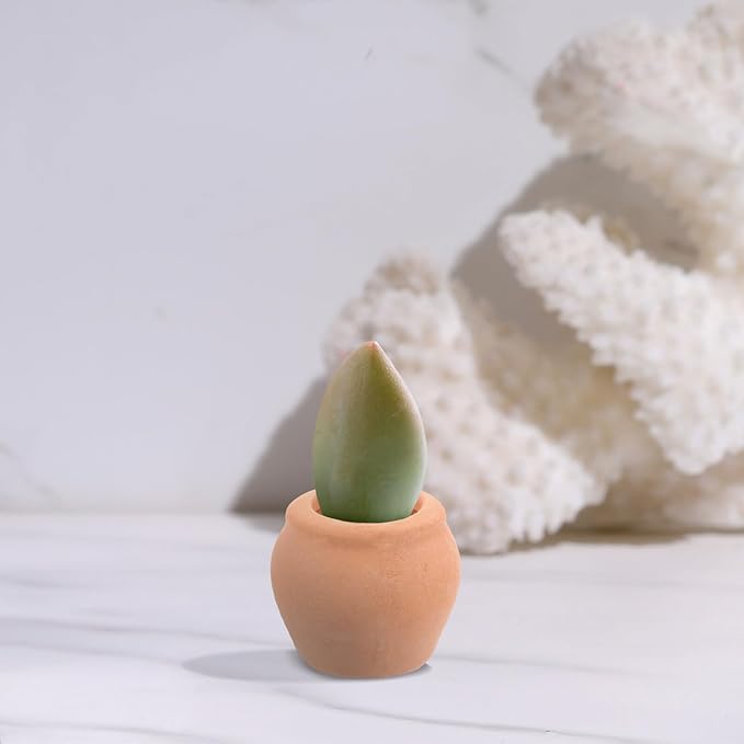 COHEALI 8PCS Mini Terracotta Flower Pots for Succulent Plants Clay Planters for Desktop Windowsill Nursery and Home Decoration