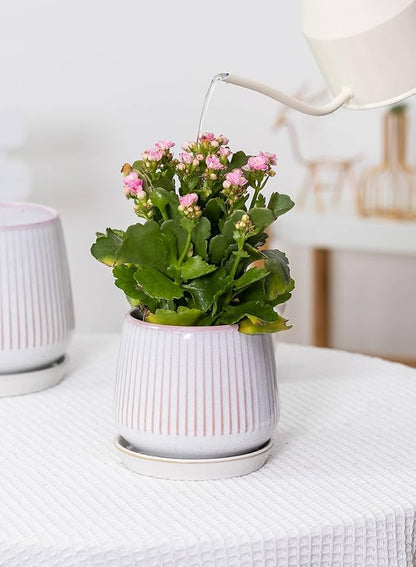 TAMAYKIM 5.5 Inch Ceramic Plant Pots with Drainage Holes and Saucers, Flower Planter with Tray for Indoor/Outdoor Planting, Succulent, Cactus & Herbs, Pink, Set of 2