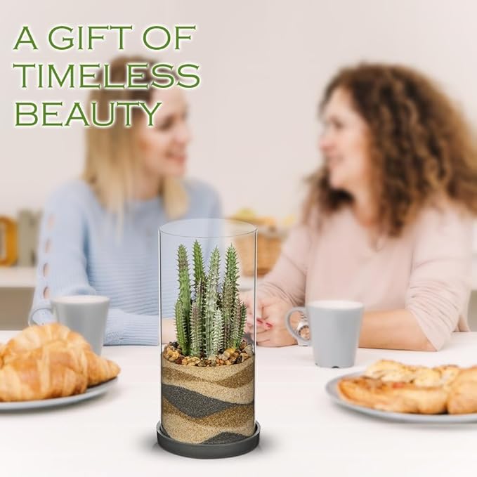 Artificial Succulent in Cylindrical Glass Vase Fake Cactus Plant with Modern Glass Terrarium for Home Decor Farmhouse Hostess Gift