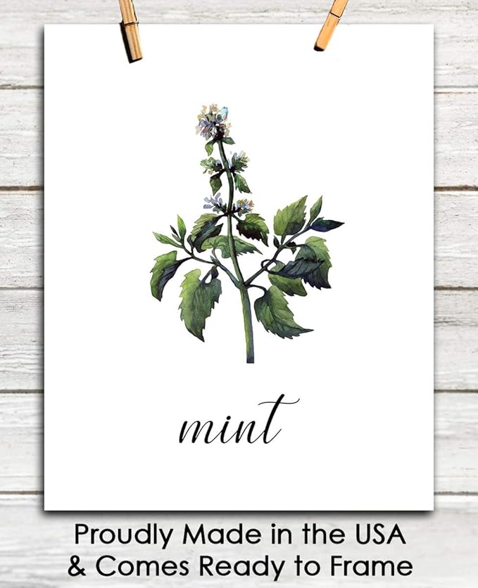 Minimalist Mint Plant Print, Vintage Botanical Wall Art - Give Your Home A Touch of Elegance With Plant Pictures Wall Art, Unframed 11x14 Botanical Decor Poster Prints