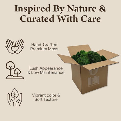 Preserved Mood Moss - Decorative Moss - Dried Moss for Crafts, Home Decor, Art, Design & DIY Projects - For Indoor Use - Natural Green - Standard Box - Covers 4-5 sq. ft.