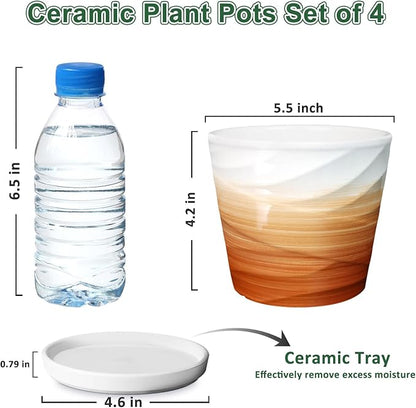 5 Inch Plant Pot,Ceramic Planter with Drainage and Saucer,Ceramic Pots for Plants,Indoor Plant pots,Planters for Indoor Plants(5.5 in Diameter,4 Pack)