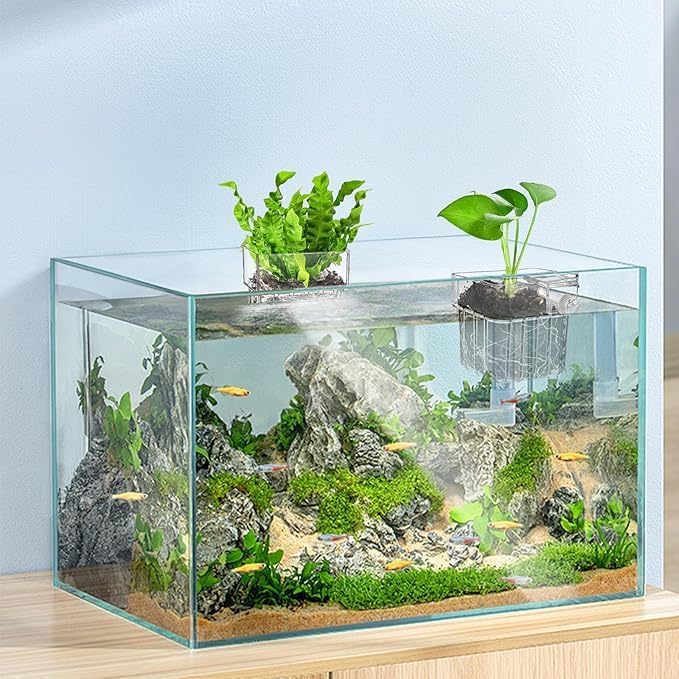 Brainy 6 Pack Top Hanging Fish Tank Plant Pot Aquarium Plant Holder Acrylic Clear Hanging Aquarium Planter Cups with Hole Top Fish Tank Plant Cup Wall-Mounted Baskets (6PCS)