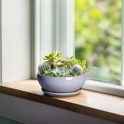 SQOWL Bonsai Tree Pots Small - 6 Inch Ceramic Succulent Planters with Drainage Hole and Saucer, Shallow Pot for Indoor Outdoor, Round Cactus Planters, Living Room Decor, Gifts for Plant Lover, Blue