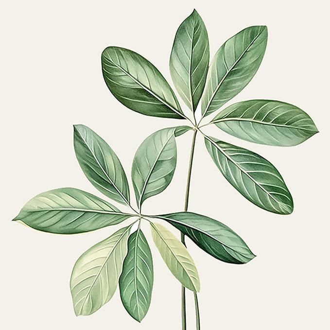 Framed Sage Green Botanical Wall Art for Bathroom, Farmhouse Plant Artwork for Bathroom Decor, 4 Piece Minimalist Vintage Leaf Picture Prints for Bedroom Kitchen Living Room Wall Decor, 8x10 Inch