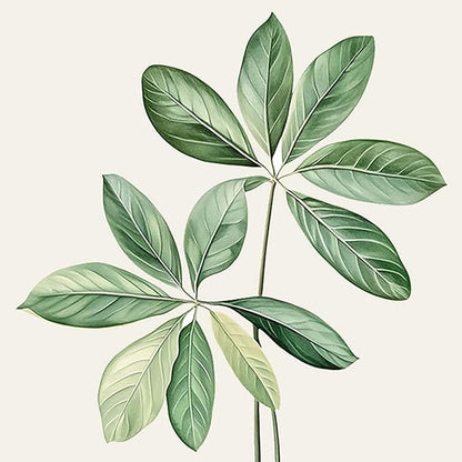 Framed Sage Green Botanical Wall Art for Bathroom, Farmhouse Plant Artwork for Bathroom Decor, 4 Piece Minimalist Vintage Leaf Picture Prints for Bedroom Kitchen Living Room Wall Decor, 8x10 Inch