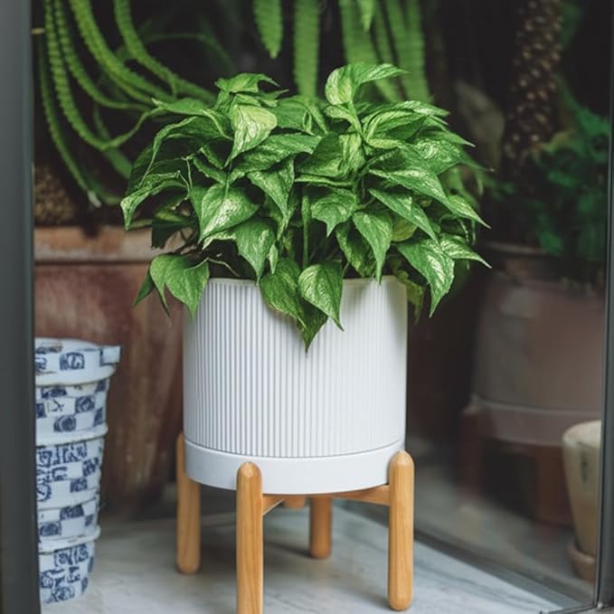 8 Inch Ceramic Planter with Natural Wood Stand w/Drainage & Saucer - Modern Indoor Planter for Cacti, Snake Plants & Aloe Vera