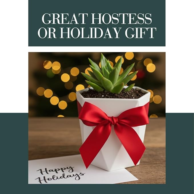 CZ Grain Modern White Geometric Tapered Planter | Minimalist Design for Succulents, Herbs & Small Plants | Hostess, Holiday or Coworker Gift | Indoor Flower Pot | Designer Aesthetic 6.6"x8.3" (5)