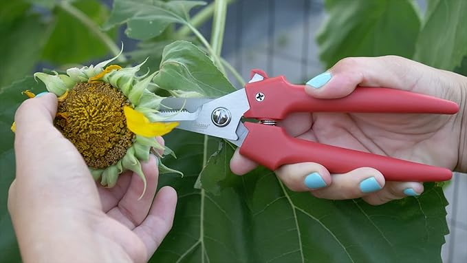 Clauss Spring-Action Stainless Steel Wire Cutters / Pruning Shears For Gardening, Red, 7.5’’ (33503)