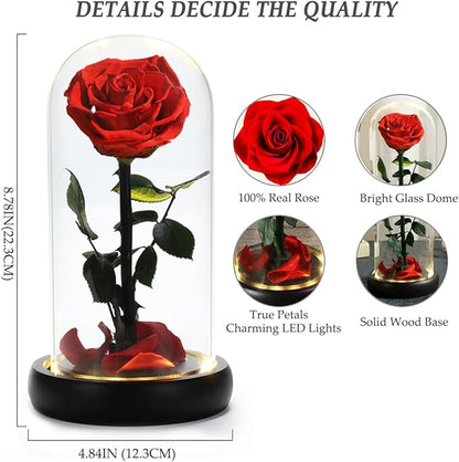 Valentines Day Gifts for Her, Beauty and The Beast Rose,Preserved Real Rose in Glass Dome,Forever Flowers with Warm Lights,Valentines Rose Gifts for Women Wife Mom Girlfriend,Birthday Gifts for Women