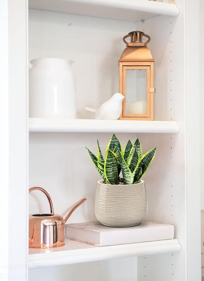 Ceramic Plant Pots 5.3 Inch Set of 2, Flower Plants Pot with Drainage Holes White Planter Garden Pot for Succulent Cactus Home Decoration Gift Indoor Outdoor