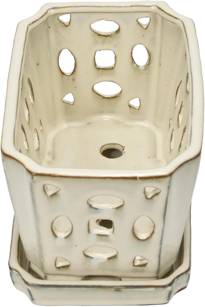 W&W Orchid Pot with Holes and Saucer for Repotting, Cream White, 9.7 Inches