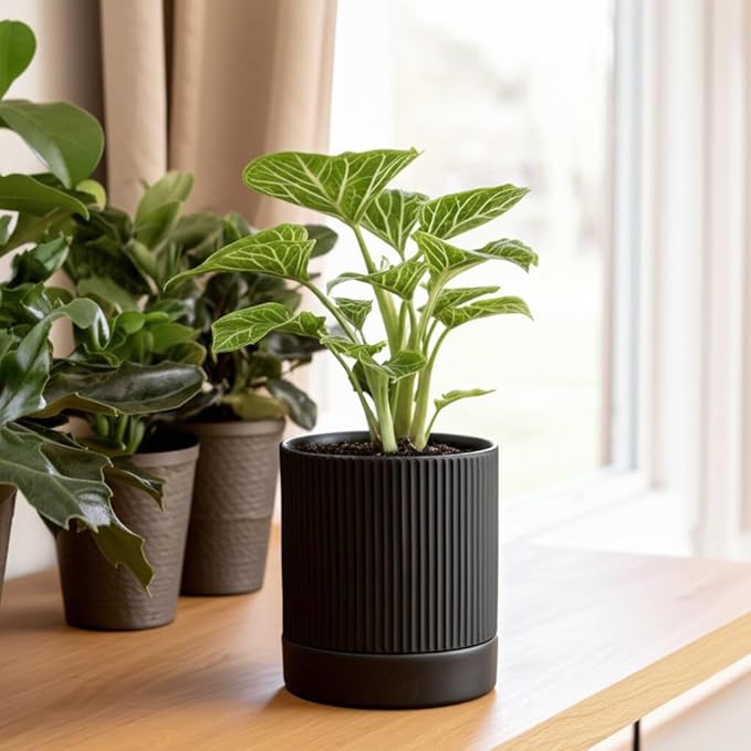Small Plant Pots, 4 Inch Pots for Indoor Plants, Modern Minimalist Ceramic Plant Pots with Drainage Hole & Saucer, Matte Black Set of 2