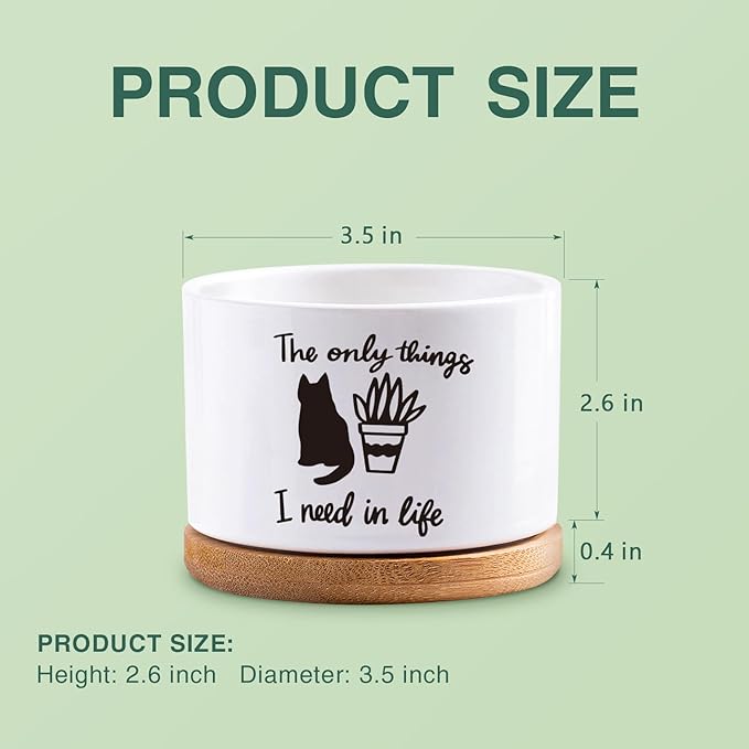 Succulent Cactus Flower White Ceramic Plant Pot with Drainage, Funny Plant Decorative Pots for Plants, Indoor Planter I Need in Life Small Succulent Pots, Not Plant