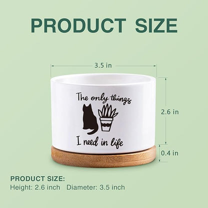 Succulent Cactus Flower White Ceramic Plant Pot with Drainage, Funny Plant Decorative Pots for Plants, Indoor Planter I Need in Life Small Succulent Pots, Not Plant
