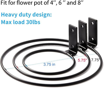 Plant Holder Ring 8 Inch Wall Mounted, 6 Pack Flower Pot Hangers Metal Plant Stand Hanging Bracket Basket Hooks