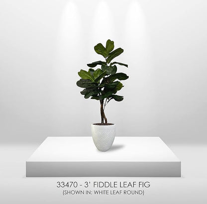 Cypress & Alabaster Handmade 3ft Fiddle Leaf Fig Ficus Lyrata Artificial Tree with Ethically Sourced Real Wood Trunks, Hypoallergenic, 3-Foot, Green