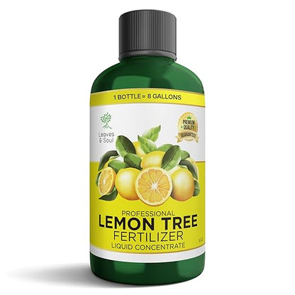 Leaves and Soul Professional Lemon Tree Fertilizer Liquid Concentrate - 6-4-6 Blend for Fruit Tree Fertilizer, Garden - Liquid Plant Food for Lemon Trees in Pots or Outdoors - 8oz
