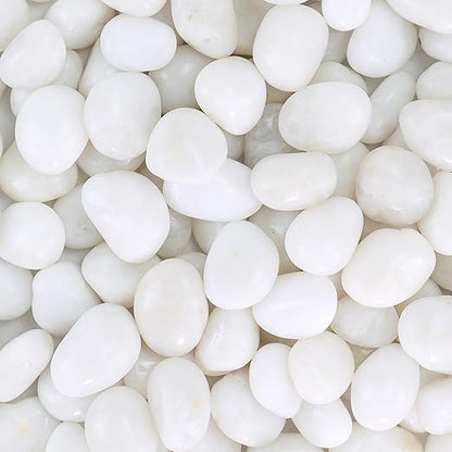 Pebbles for Indoor Plants, 5lbs White Pebbles 0.5-1.2 Inch Decorative River Rocks for Planters, High Polished Stones for Vase Filler Fish Tank Landscaping Garden