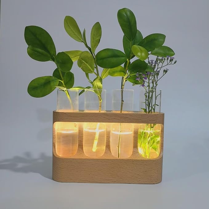 Plant Propagation Station, Decorative Hydroponic Terrarium with LED Lights, Glass Test Tubes for Hydroponic Plants for Men, Women, Youth, Teens, Seniors, Bedroom, Bathroom, Dormitory