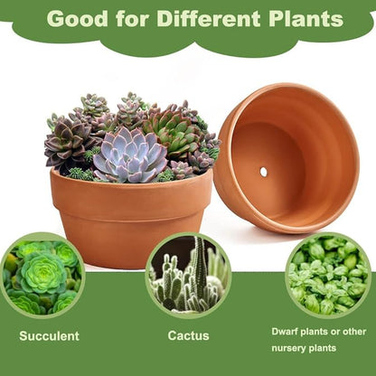 8 Inch Shallow Terracotta Pot for Succulent - 2 Pcs Large Clay Planter Pots with Drainage Hole, Shallow Plant Pottery Pots for Cactus Succulent and Other Indoor Outdoor Plants