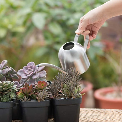 Stainless Steel Water Can for Indoor Plants and Garden (15 oz)